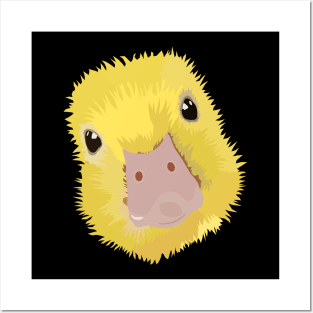 Cute Little Baby Duckling Simplistic Art Posters and Art